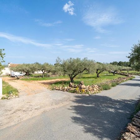 Casa En Olivera A 3 Km De La Costa El Perello  Ngoại thất bức ảnh