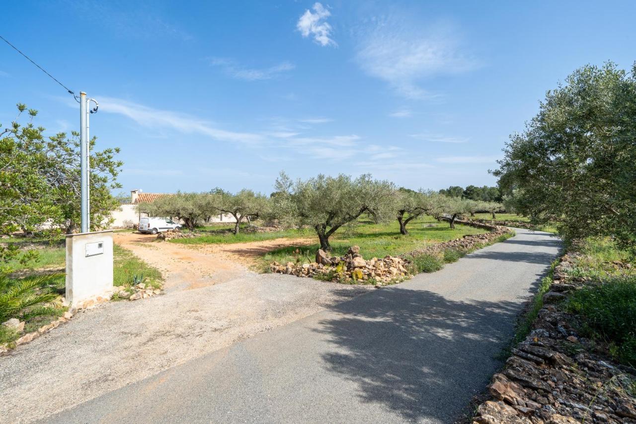 Casa En Olivera A 3 Km De La Costa El Perello  Ngoại thất bức ảnh