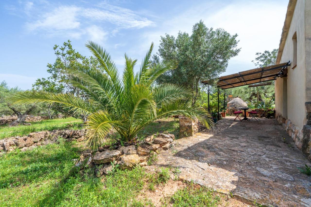 Casa En Olivera A 3 Km De La Costa El Perello  Ngoại thất bức ảnh